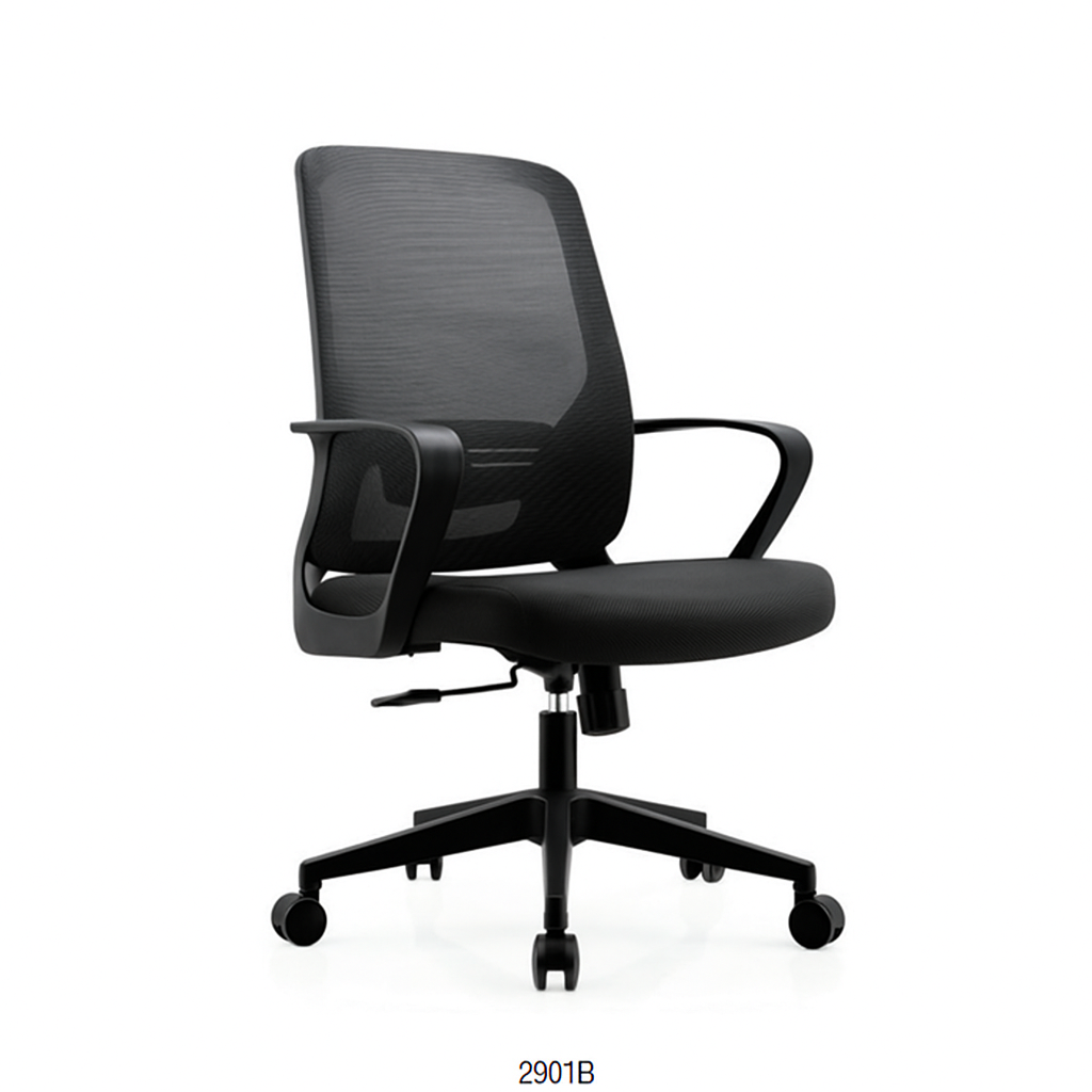 Image of 2901B-  BLACK